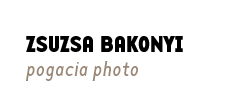 Bakonyi Zsuzsa Pogacia Photo